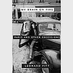 2016 My Brain on Fire Book Cover