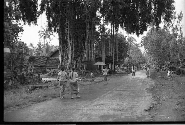 bali17