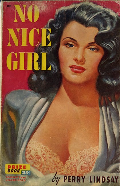 A Nice Girl Book Cover